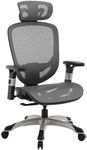 STAPLES Ergonomic Task Chair, Mesh,