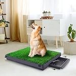 Dog Grass Pad with Tray, 25" x 20" 