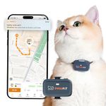 Pawfit Lite for Cats 4G GPS Tracker | World’s Smallest (<18g) | Real-Time Tracking | Activity Monitoring | Territory and Location History | Unlimited Range | Safety Collar Included | Charcoal grey
