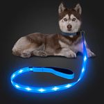 Candofly Reflective LED Dog Leash - Glow in The Dark Dog Leash USB Reachargeable Lighted Dog Rope, 4 Ft Durable Water Resistant Flashing Dog Leads for Dogs Walking at Night (Sky Blue)