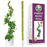 Duspro 68 Inch Tall Moss Pole for Plant Monstera Bendable Plant Stakes, Real Forest Moss Stick, Totem Pole Plant Support/Trellis for Big Climbing Plants Indoor (Large Size)