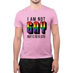 I'm Not Gay But 20 is 20 Novelty Tee LGBTQ Pride Clothing Funny Tops LGBT Pride Novelty T-Shirts Personalised Tshirt (S,Pink)