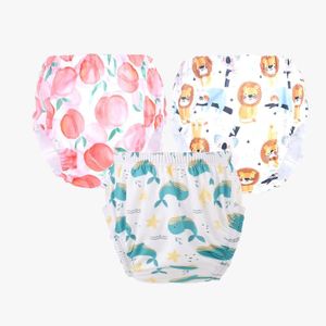 Teeny Weeny Reusable Adjustable Swim Diaper Combo  – Pack of 3 Printed Underpants for Infant Boys & Girls | L | Color 24