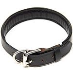 Logical Leather Padded Dog Collar -
