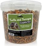 Reptile World Turtle and Terrapin C