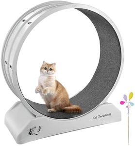 Novelfun Tapis de course pour chat, grande roue de course pour chat, 80 cm de diamètre, roue d'exercice avec moquette pour chats d'intérieur, sport, piste, fitness, contrôle du poids – Gris