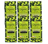 Radico 100% Organic USDA Certified Hair Color, 100g, Soft Black (Pack of 6)