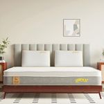 SleepyCat Cloud Mattress | Hotel-Like Quilted EuroTop with Memory Foam & Latex | No-Motion Transfer Pocket Spring | Pressure Relief & Luxurious Feel | King Size (72x72x8 Inches)