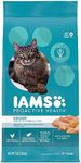 IAMS Proactive Health Indoor Weight