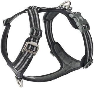 DOG Copenh