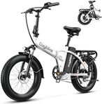 1000W Electric Bike for Adults, 48V