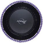 JumpSport 350 PRO Fitness Trampoline, Cardio Workout, No-Tip Arched Legs Home Gym Equipment with Adjustable Bungees & 60 Day Trial Video, 39", Purple