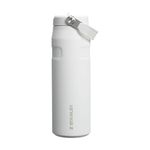 Stanley 1913 Flip Straw 2.0 Sports Water Bottle with Straw 0.7L - 10 Hours Cold - 3 Days Iced - Stainless Steel - BPA Free - Leak Resistant - Fits in Cup Holder - Dishwasher Safe - Frost