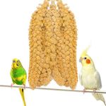 Fhiny Millet Spray for Birds, 2LB Natural Sun-Dried Millet for Birds Original Parakeet Food & Treats Spray Millet for Parakeets Parrots Cockatiels Lovebirds Finches Budgies Hamsters