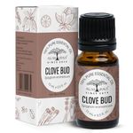 ALL NATURALS Clove Essential Oil (Kerala, India) for Oral Care & Healthy Skin | 100% Pure Aromatherapy Grade | 15 ML