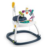 Fisher Price Astro Kitty Spacesaver Jumperoo