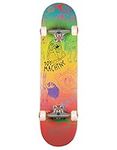 Toy Machine Skateboards Complete Ch
