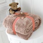 LIZZIE JACOBS Super Soft Luxurious Teddy Bear Throws Warm Cosy Sofa Settee Bed Sherpa Fleece Blankets Non Allergic Travel Kids Adults Blankets (King - 200x240cms, Mink)