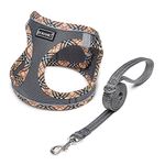 DORAMIO Step-in Dog Harness and Leash Set, Soft Mesh No-Chock Reflective Breathable Easy Walk Lightweight Vest Harnesses with Safety Buckle for Small Medium Dogs, Cats, Puppies (Grey, XS)