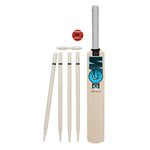 Gunn & Moore GM Cricket Unisex Beginner Child Diamond Cricket Set - Size 3 (Bat, wickets, bails,Ball)