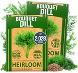 HOME GROWN Dill Seeds 2 Pack (Anethum Graveolens) - 2028 Non-GMO Heirloom Herb Seeds for Planting Indoors or Outdoors, High Germination, Ideal for Herb Gardens, Pots, and Cooking Flavorful Dishes