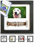 Shadow Box For Dog Memorial