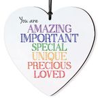 Dorothy Spring You are Amazing Important Special Loved Inspirational Hanging Wooden Heart Sign Wall Sign Love Plaque Gift for Friends Inspirational Keepsake Quote