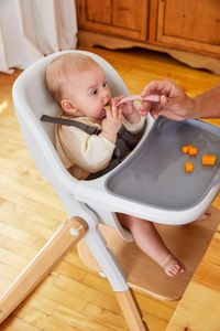 Ergobaby Evolve High Chair – Natural Wood Adjustable Baby Seat