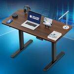 The Sleep Company - Electric Height Adjustable Desk | Ergonomic Work from Home Table with Memory Preset Controller & Stability Controller | 2 Years Warranty | 1200 x 600 Thick Top | Wooden & Black