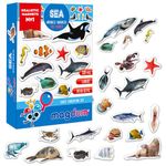 Fridge Magnets For Toddlers Magdum - 30 SEA Animal Kids Fridge Magnets - Animal Magnets For Toddlers - Fridge Magnets For Kids - Kids Magnets - Magnetic Shapes - Magnet Toy - Kids Magnets For Fridge