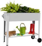 LEETOLLA 𝐑𝐚𝐢𝐬𝐞𝐝 𝐆𝐚𝐫𝐝𝐞𝐧 