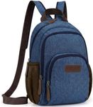 PACKISM Small Backpack Purse for Women - Convertible Backpack Purse Sling Bag for Women with Multiple Compartment Pockets Adjustable Straps Daily Mini Backpack, Blue