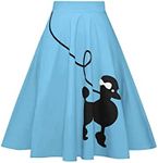ZEZCLO Women Poodle Skirt 50s Vintage Pleated A-line Zipper Skirts Light Blue XL