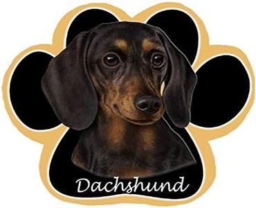 Black Dach