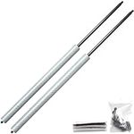 JINGLING Trunk Struts for Mustang MK6 (S550) Coupe without Spoiler 2016-2023 Rear Boot Tailgate Gas Dampers Lift Supports TWO YEARS WARRANTY (Silver Carbon Fiber)