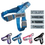 Paworld Dog Harness, Anti Pull Dog Harness Small, Service Dog Vest with 4 PCS Reflective Patches, 2 Buckles with Safety Lock, Adjustable No-Choke Harness, for Outdoor Training Walking (Blue, XS)