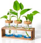 NEAGLORY Propagation Stations Planter Plant Terrarium Holder Vase Pot Tabletop Desktop Water Plant Decor for Office Plants Gift Decorations for Women&Plant Lover, 3 Glass Planters, Wooden Stand