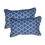 Trance Home Linen 200 Tc Cotton Floral Printed Pillow Covers | Pillow Cases | Set Of 2 Piece Pillow Covers Only |Large Size (20 X 30 Inch, Dori Blue)