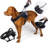 YOGADOG Heavy Duty Dog Harness for 