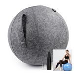 TechoFit 65cm Yoga Ball Chair with Fabric Cover for Office, Yoga, Workout, Pregnancy, Maternity Labour, Anti-Burst Swiss Balance Ball (Blue)