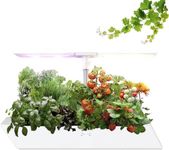 Hydroponic System Indoor Garden 12 Pods,5-6 Inch Height Adjustable Anti-Dry Water Pump and 3 Timing Modes, 5 Color 24W Full Spectrum LED Growth Light Herb Garden Kit.