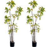 MyGift Set of 2 Indoor Artificial Tree, 6.5 Feet Tall Faux Yellow Iceton Croton Branching Shrub in Black Round Planter Pot, Floor Standing Tropical Foliage Potted Plant