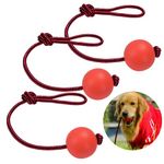 Dorakitten Legendog Dog Rope Ball, 3 Pcs Ball on a Rope Dog Toy Natural Elastic Solid Rubber Dogs Balls Chew Toys for Small Dogs