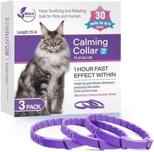 3 Pack Cat