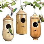 Wodpesur Hummingbird House - Natura