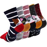 Women's Toe Socks Cotton Ankle Cute Crew Girls Novelty Holiday Christmas Gifts (Cat-5 Paris, US Womens Sock: 5-10)