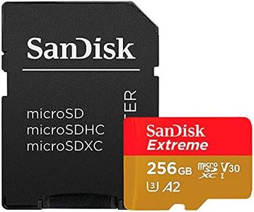 SanDisk 25