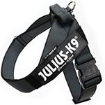 Julius-K9 IDC Color & Gray Belt Harness for Dogs, Size 2, Black-Gray