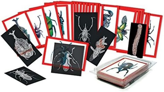 Roylco Insect X-Rays and Picture Cards Set, Multi (R-5912)