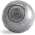 Planet Dog Orbee-Tuff Diamond Plate Ball – Nearly Indestructible Chew-Fetch Ball - Tough and Durable Dog Toys for Chasing, Retrieving and Training - 3-Inch Dog Ball, Silver